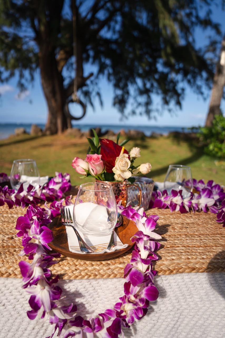 Oahu Proposal Family Picnic