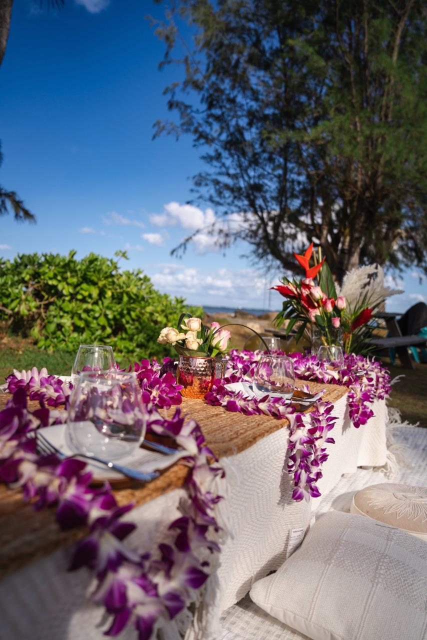 Oahu Proposal Family Picnic