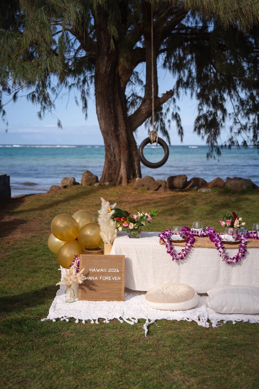 Oahu Proposal Family Picnic