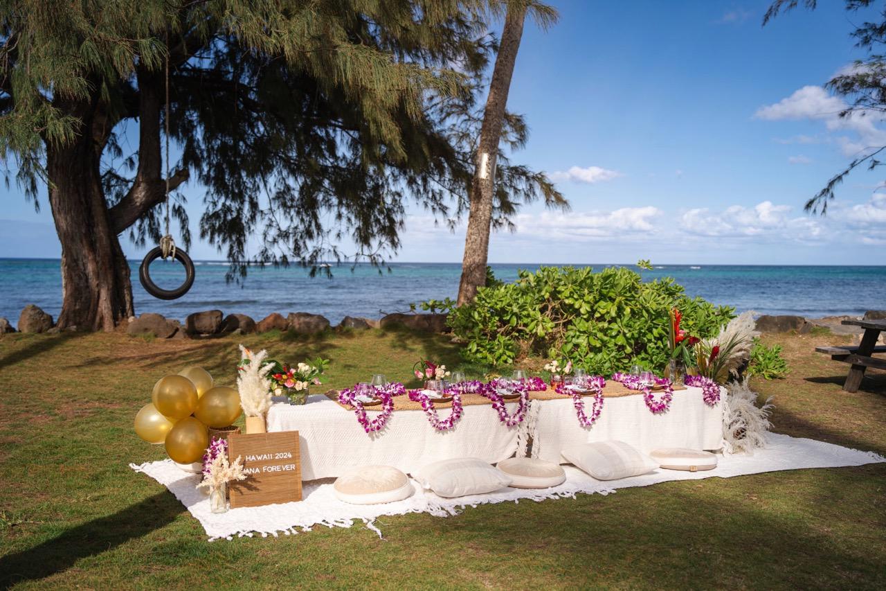 Oahu Proposal Family Picnic