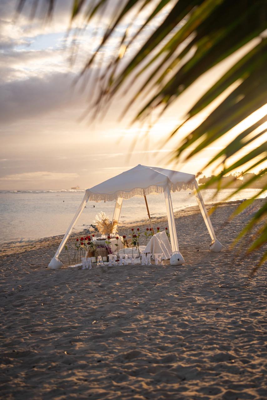 Proposal Picnic