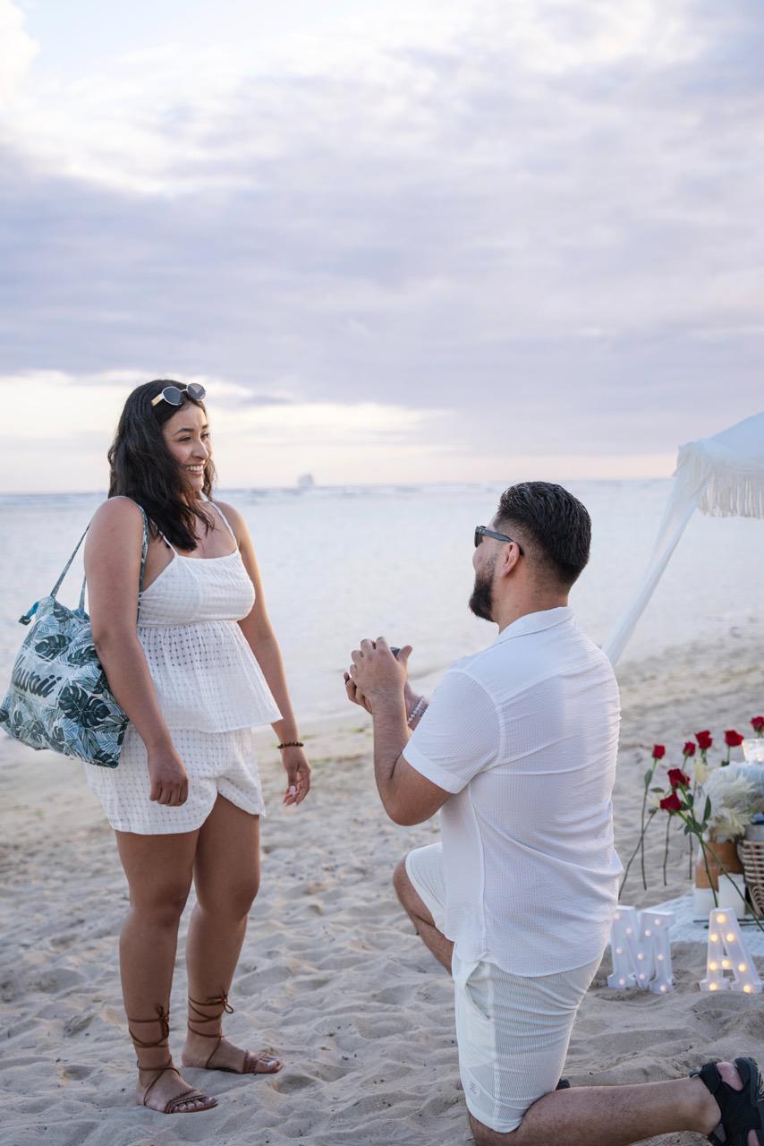 Proposal Picnic