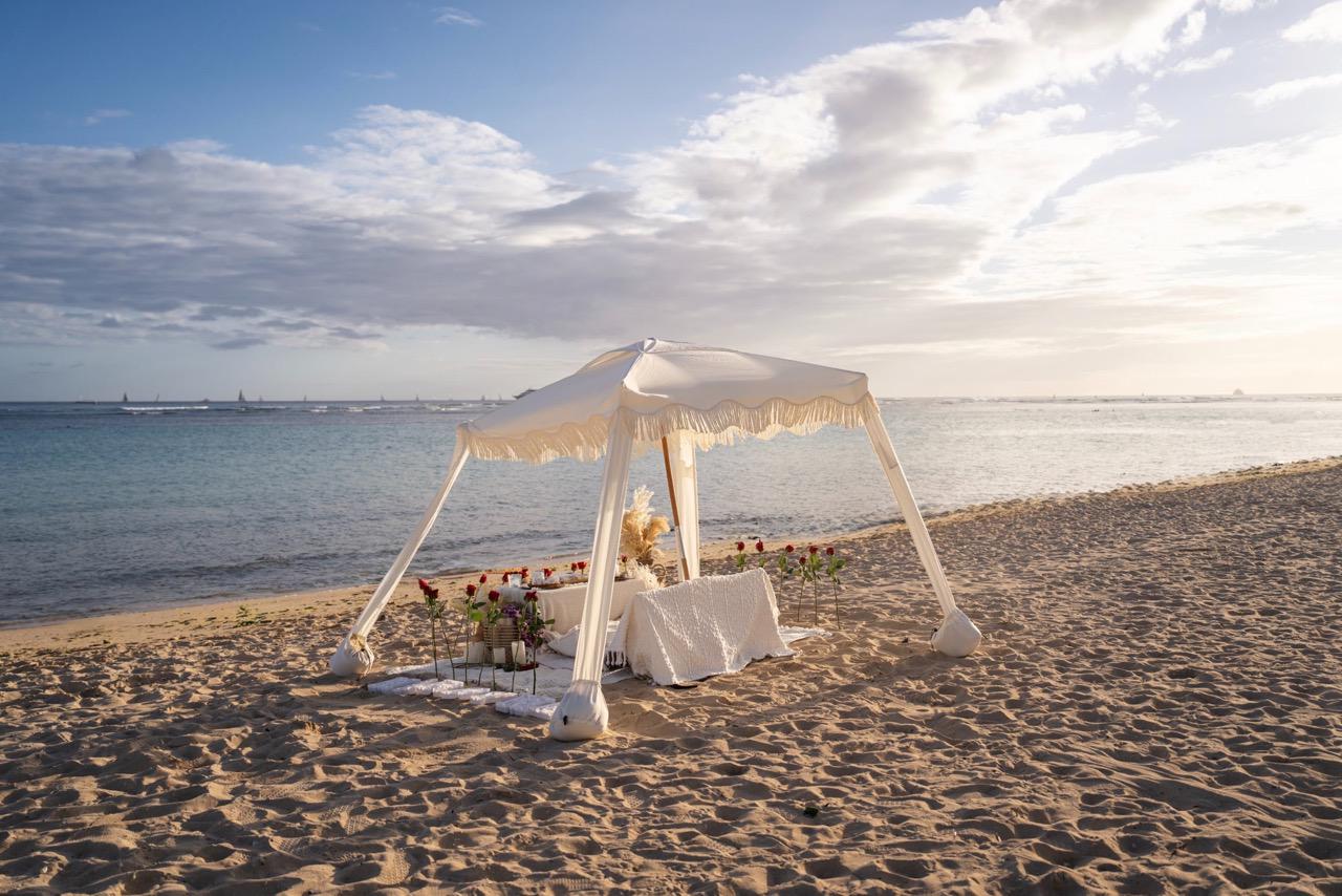 Proposal Picnic