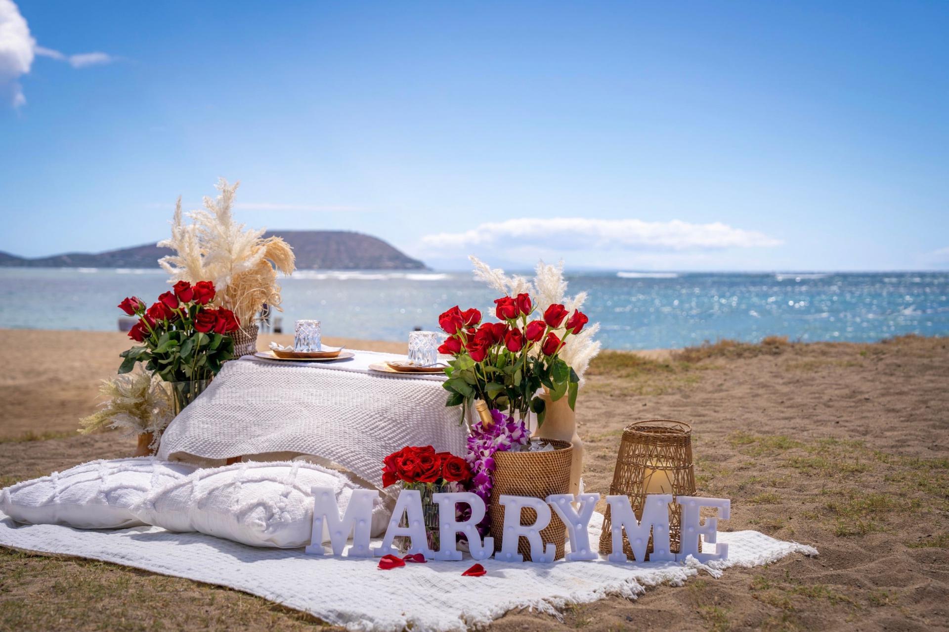 Romantic Proposal Picnic